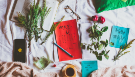 La PAL du mois de Mai 2022