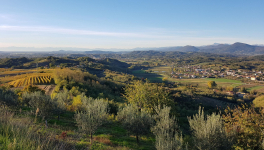 Petites Villes Oubliées