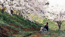 Hana-Bi (Takeshi Kitano, 1997)