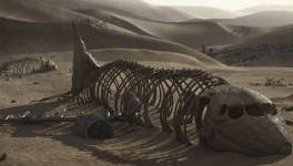 La Panne (carnet de bord d’un burn-out)