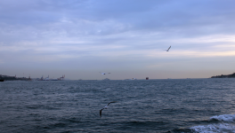 SELENA AU BORD DE L'EAU