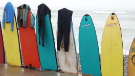 Le surf, ce paradis toxique qu'on refuse de voir