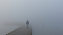 20h30, un jour de semaine...