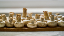 Paupiettes de dinde à la crème, aux champignons et lardons