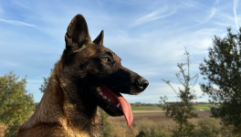 Il était une fois un champignon magique !