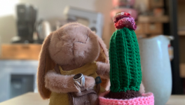 Pand’octobre Jour 4 : Cactus