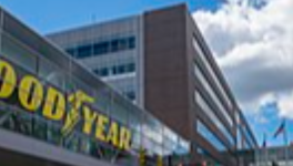 Qualities of Comparison : DIVISION SCATTERED SEEDS (Trump, Assange, and so on)