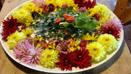 Le jardin de fleurs du 8 Octobre 