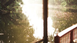 Le Roman... et si cela arrivait !