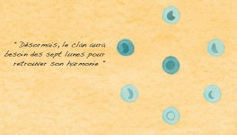 16. Clan Destin - Les Lunes