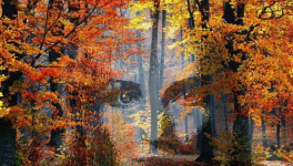 Rancoeur mélancolique