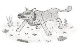 Découvrez les super-canins d'Ethélys !