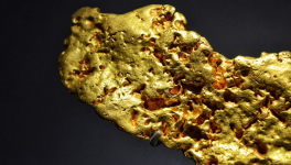 PANODYSSEY : la "pépite" qui ne roule (toujours) pas sur l'or !