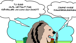 RATPSODIES  - AUTUMN 2024 - 21