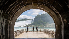 A Huge Criminal Conspiracy : a Plot, money, and some Cops.