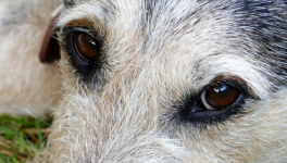 Les mains dans les poches