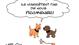 la gent canine et le confinement