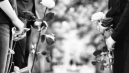 Laissez moi une dernière fois