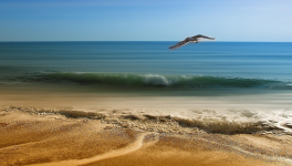 Épiphanie pour la jeunesse du monde, exhortation dans le vent…