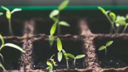 Et maintenant le silence