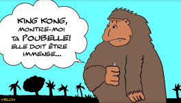 KING KONG ET LES RATS