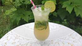Mojito - Recette en vidéo