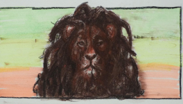 Foire d’empoigne face de rat