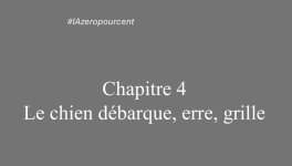 Chapitre 4: Le chien débarque, erre, grille