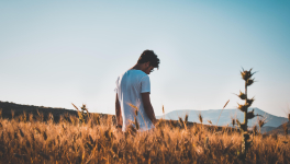 La PAL du mois de Juin 2022