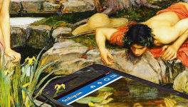 Narcisse(s) face à l'écran...