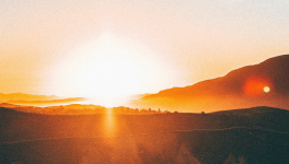 🎒 Révélation matinales