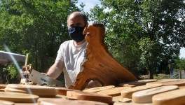 Exposition et les règles sanitaires - première expérience