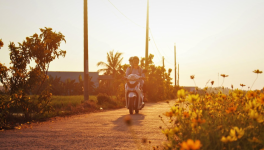 Soyons rapides et faméliques