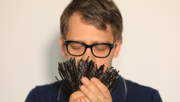 Vanille : Le Guide Ultime des Types de Gousses de Vanille pour Savoir Quelle Vanille Choisir