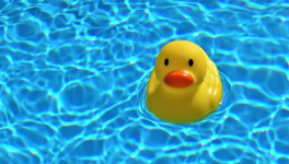 Rubber Duck Debugging