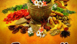 AYURVEDA - la médecine Indienne