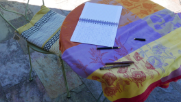 les pierres du lavoir