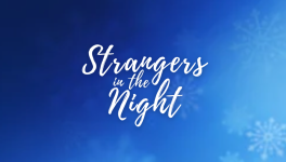 Strangers in the Night - Chapitre 2