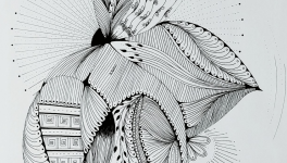 L'unité fragmentée