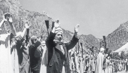 les dégâts de la colonisation