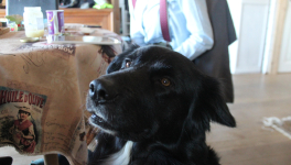 Ouvre grand tes oreilles et tes yeux