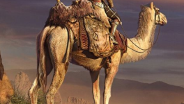 Le palmier de la fécondité