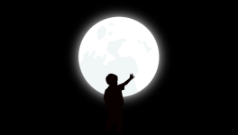 Quoi, Pourquoi, Et ensuite ?