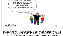 J'ai toujours peur des chauves-souris