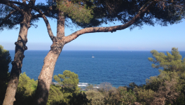 Le Masque de la Vérité et le Cynisme transmuté