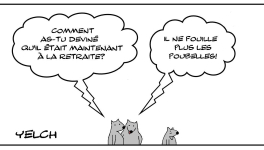 Retraité des fouilles