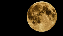 La République Lunaire