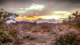 Être Libre, c’est être Maître de son Destin - Anticipation.
