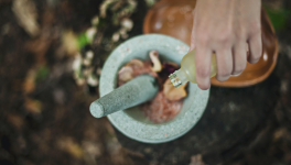 Les fenêtres d'en face (II)