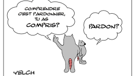 comprendre c'est pardonner et peut-on pardonner sans comprendre?